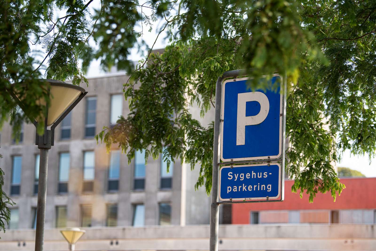 Billede der viser parkeringsskilt