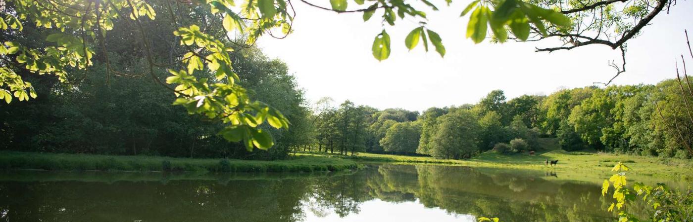 Natur